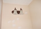 DSCN0963