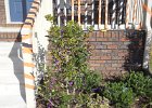 DSCN0035